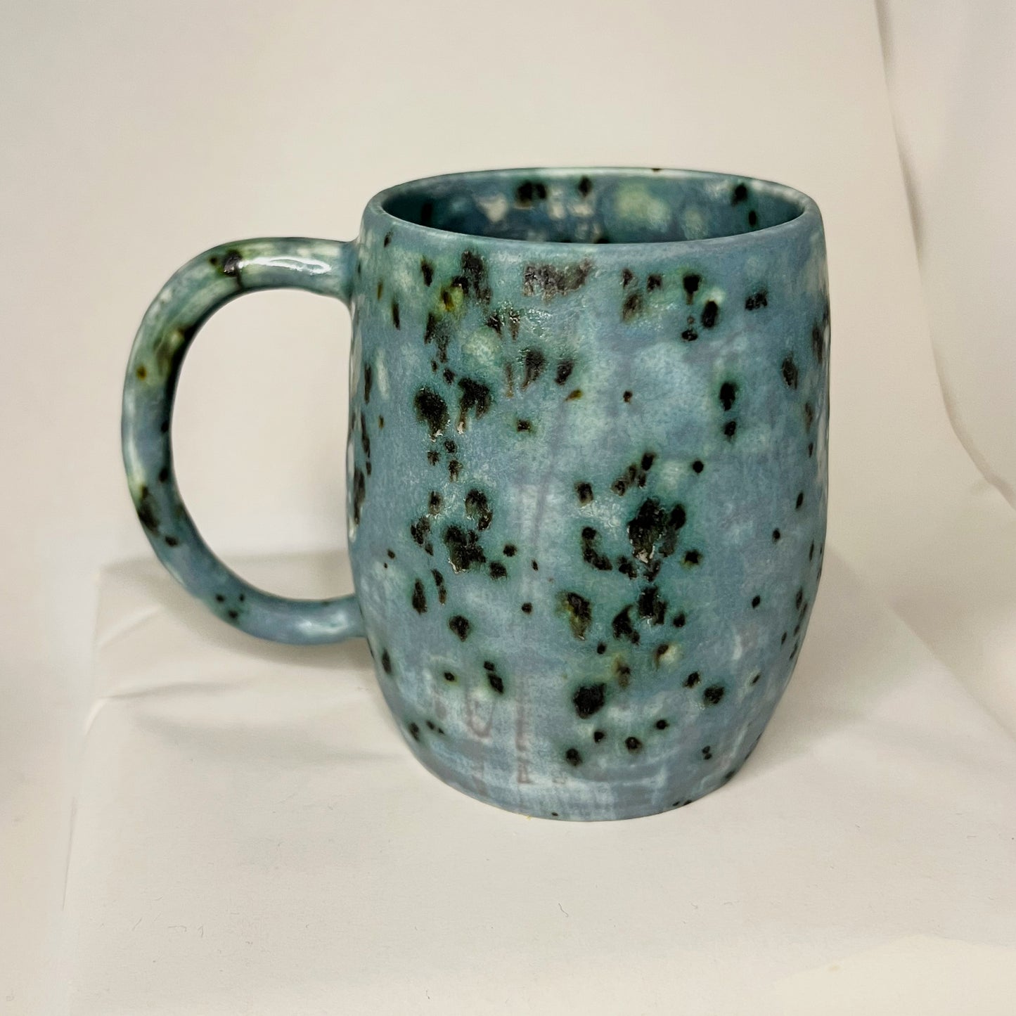 Algae Pond Mug