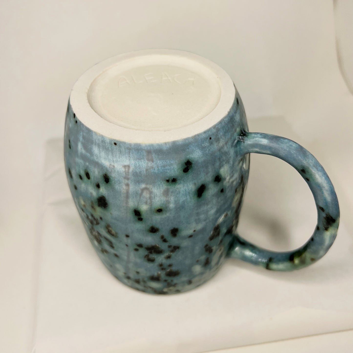 Algae Pond Mug